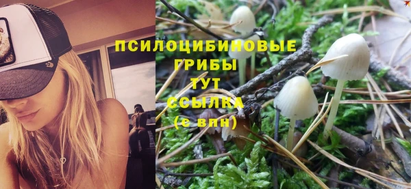 гашишное масло Медногорск