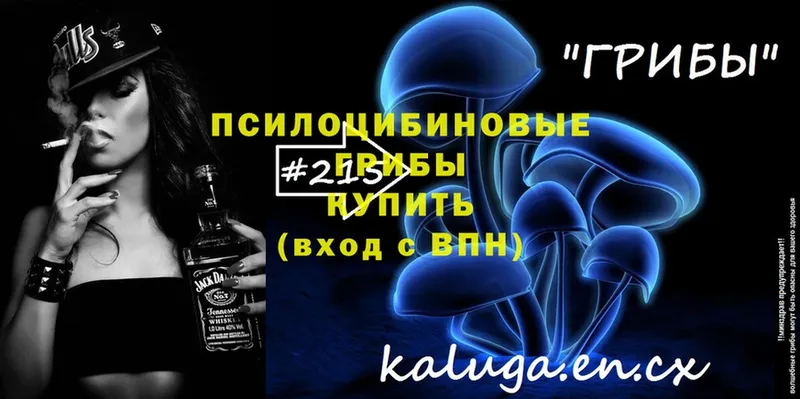 Галлюциногенные грибы Psilocybe Ессентуки