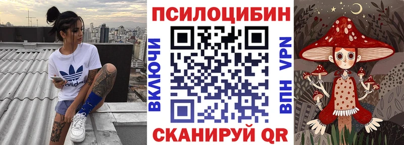 Галлюциногенные грибы Cubensis  omg зеркало  Ессентуки  даркнет клад  как найти  