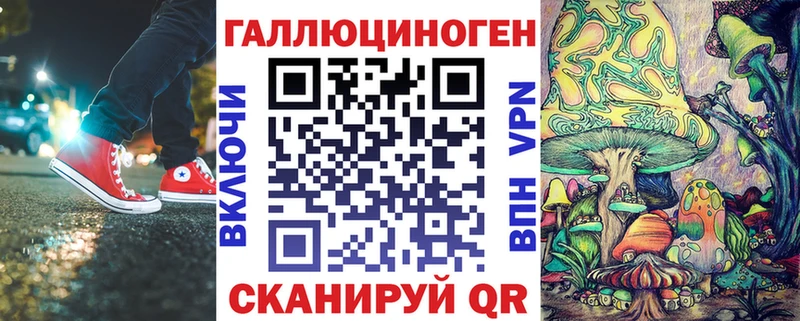 Галлюциногенные грибы Psilocybe Ессентуки