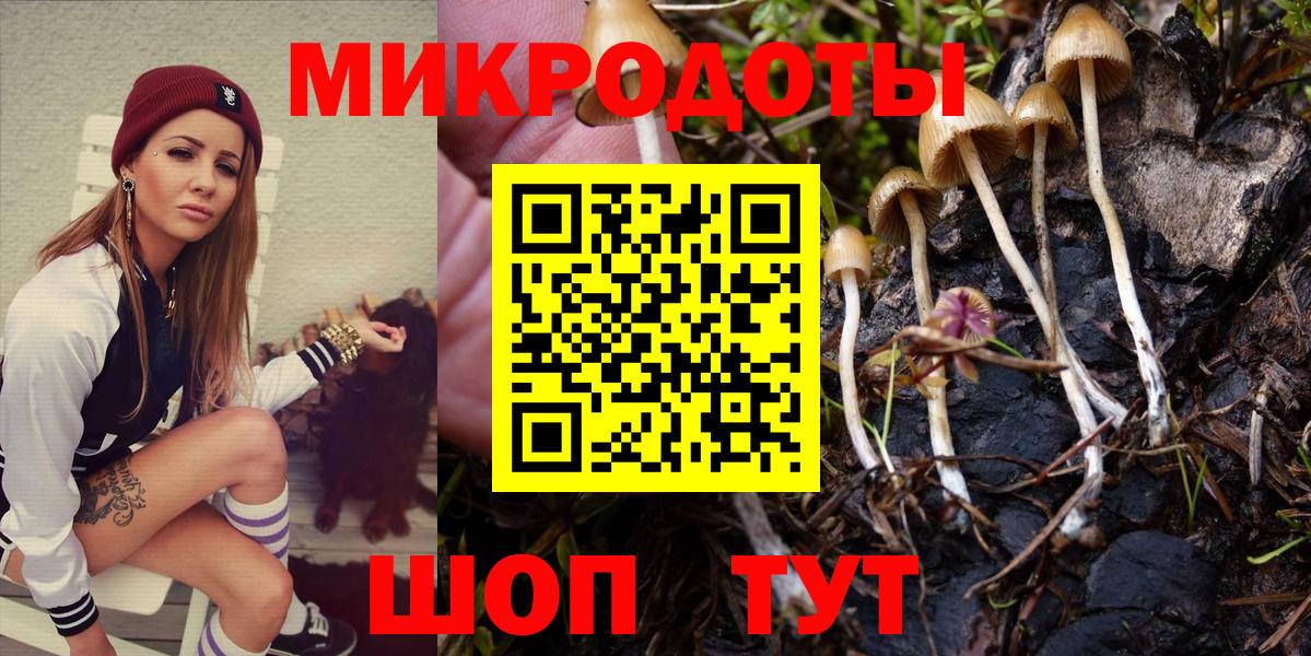 Псилоцибиновые грибы MAGIC MUSHROOMS Ессентуки
