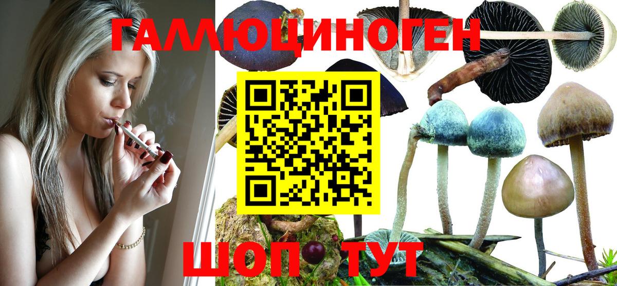 Псилоцибиновые грибы Magic Shrooms  Галлюциногенные грибы мухоморы  Ессентуки 