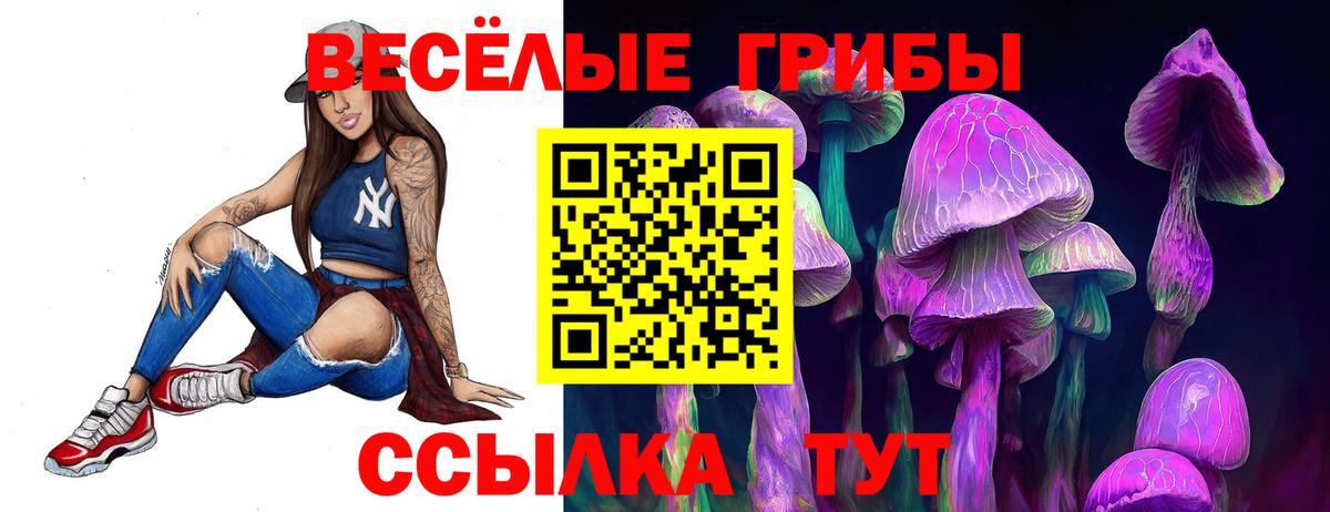 Псилоцибиновые грибы мицелий Ессентуки