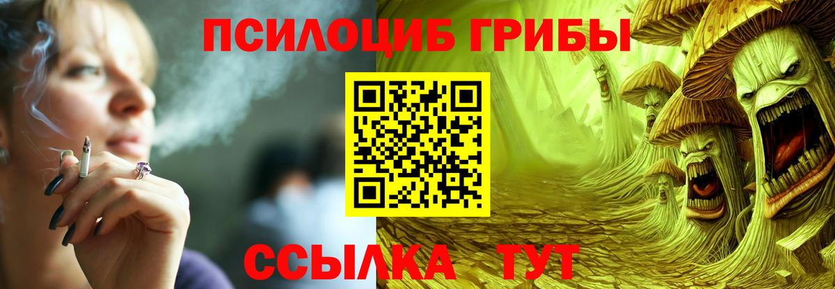 Псилоцибиновые грибы GOLDEN TEACHER  Вход с VPN  Ессентуки  Галлюциногенные грибы мухоморы 